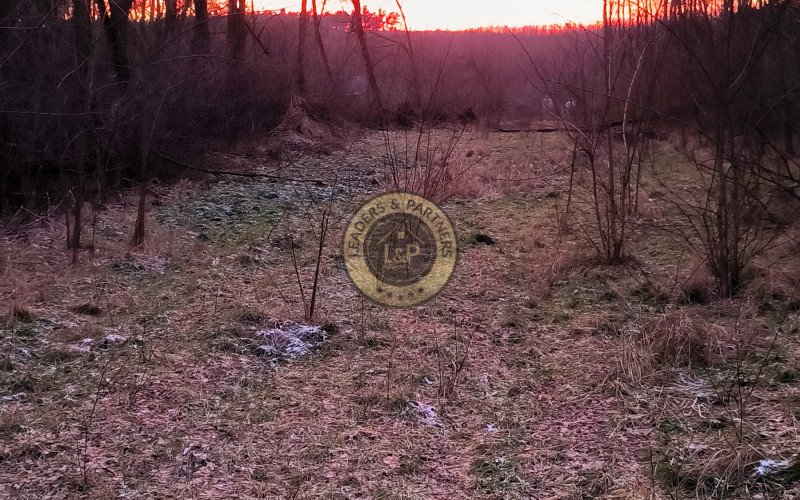 Lesný pozemok v obci Dojč