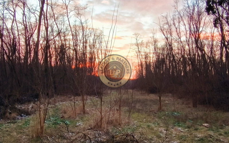 Lesný pozemok v obci Dojč