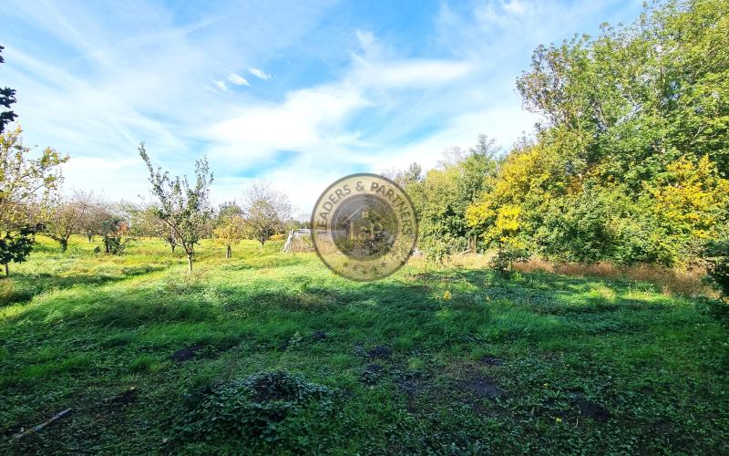 PREDAJ rodinný dom na rozsiahlom pozemku 25 296 m2 Mosonmagyaróvár