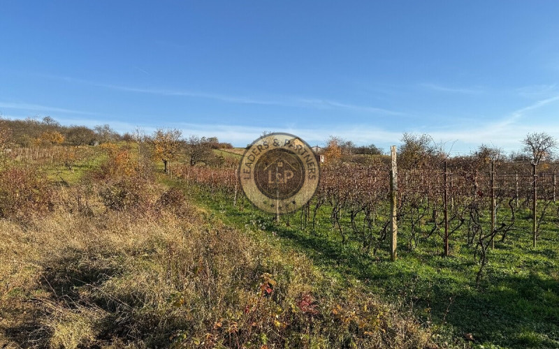 Na predaj vinohradnícky domček s pozemkom pri obci Prietržka