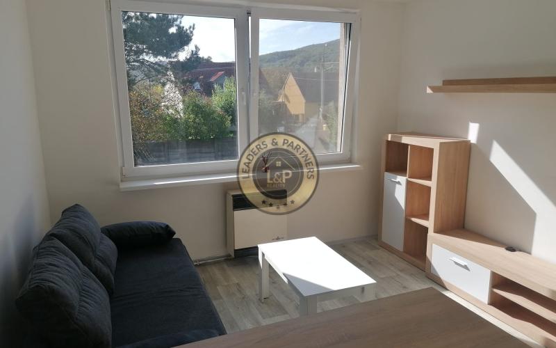 Prenájom garsónky s pivnicou v obci Trstín