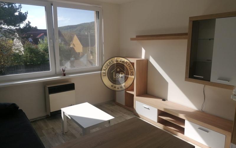 Prenájom garsónky s pivnicou v obci Trstín