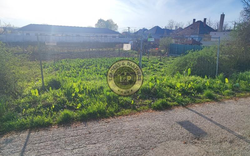 Na predaj pozemok vhodný na výstavbu RD v obci Tomášikovo