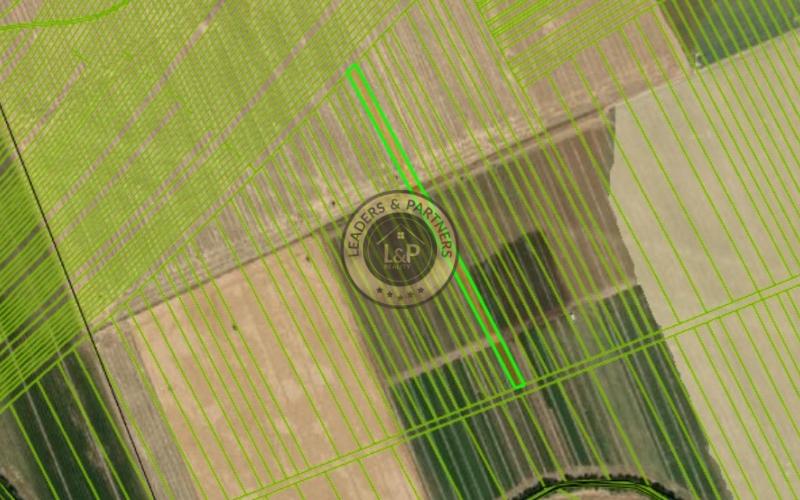 Na predaj orná pôda k.ú. obce Bučany