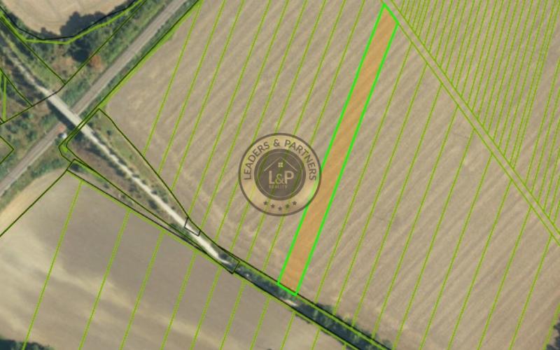 Na predaj orná pôda k.ú. obce Bučany