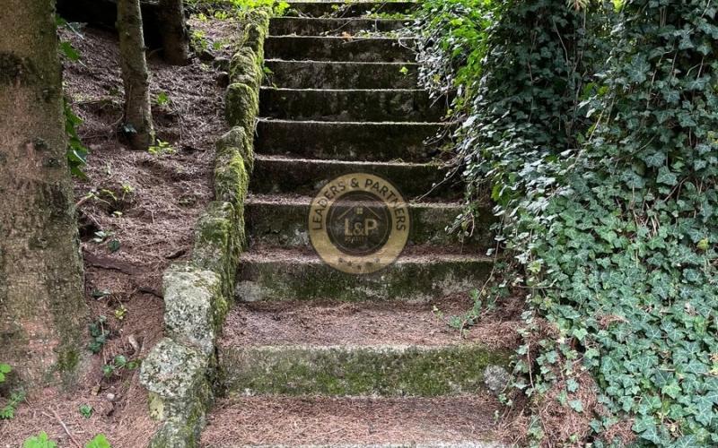 Na predaj chatka s pozemkom Trstín - Rosuchov