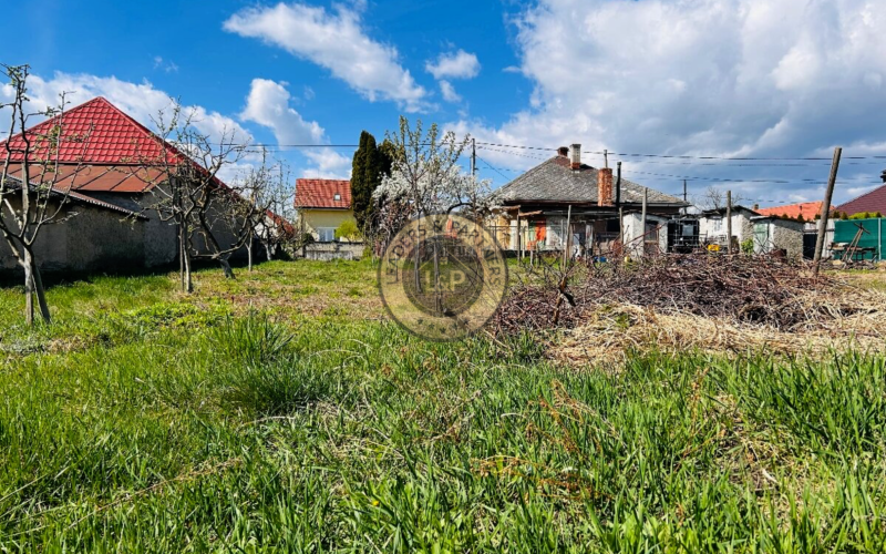 Investičná príležitosť: dom s veľkým pozemkom