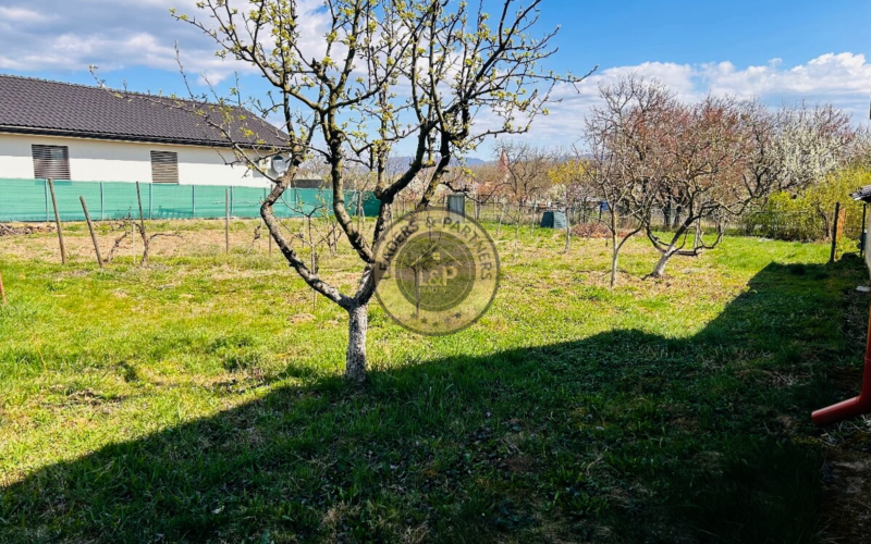 Investičná príležitosť: dom s veľkým pozemkom