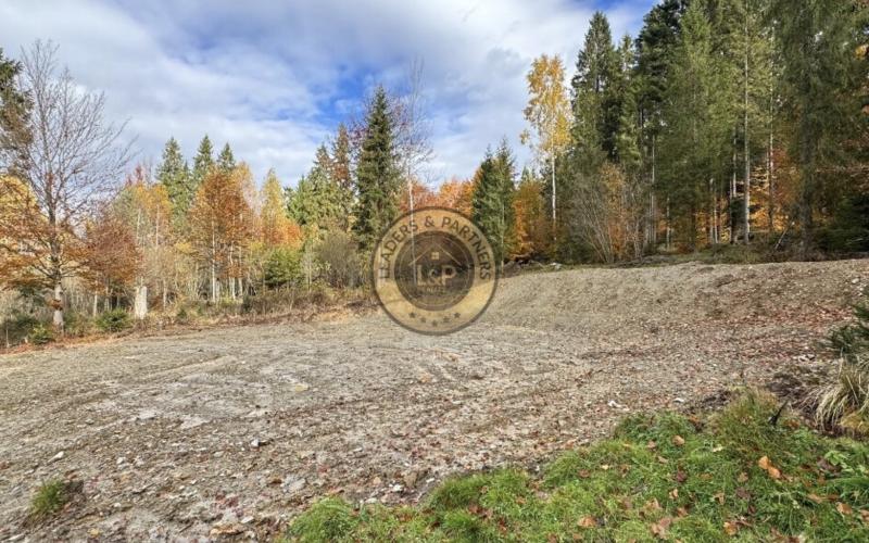 Pozemok - Pozemky Zahájnica - Nálepkovo - 2707m2