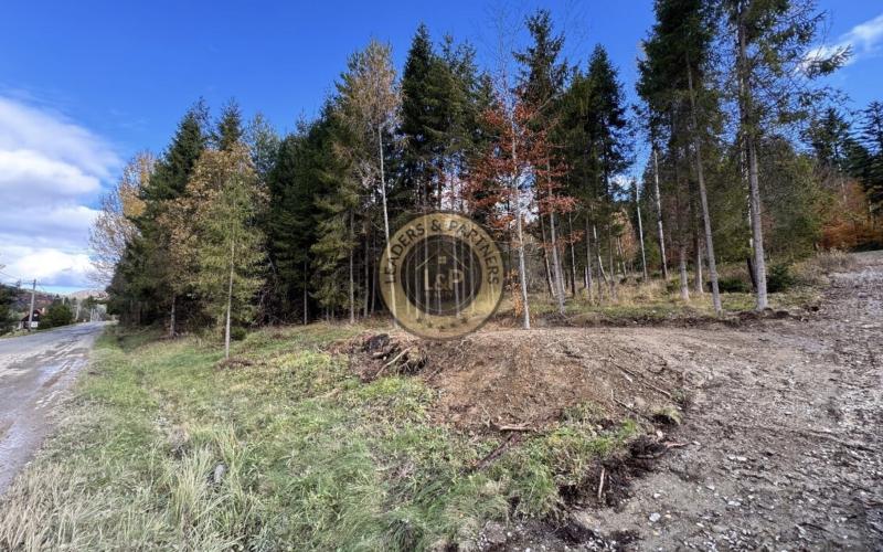 Pozemok - Pozemky Zahájnica - Nálepkovo - 2707m2