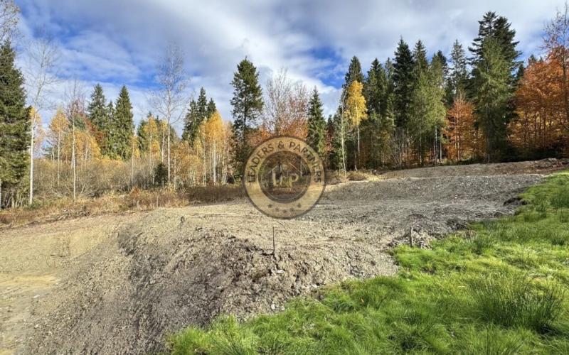 Pozemok - Pozemky Zahájnica - Nálepkovo - 2707m2