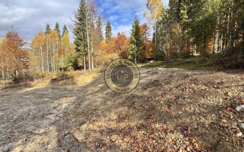 Pozemok - Pozemky Zahájnica - Nálepkovo - 2707m2