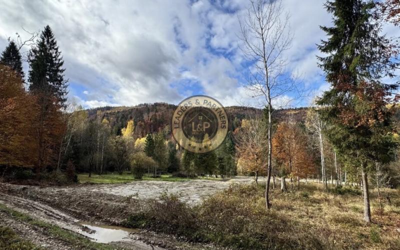 Pozemok - Pozemky Zahájnica - Nálepkovo - 2707m2