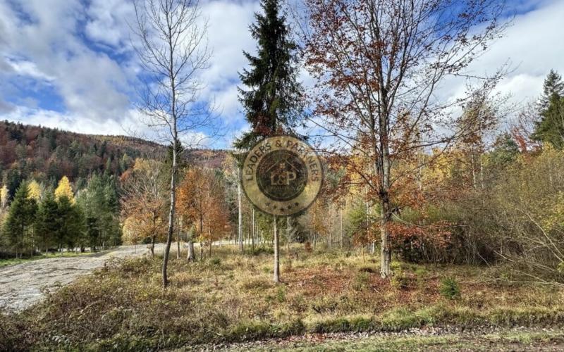 Pozemok - Pozemky Zahájnica - Nálepkovo - 2707m2