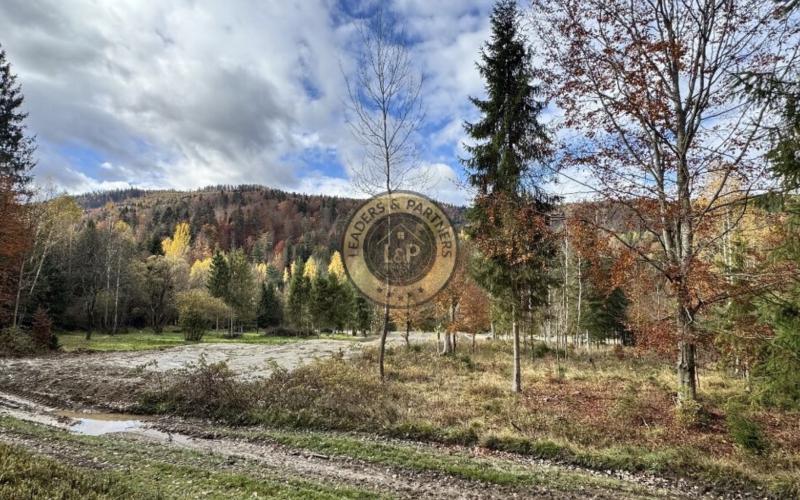 Pozemok - Pozemky Zahájnica - Nálepkovo - 2707m2