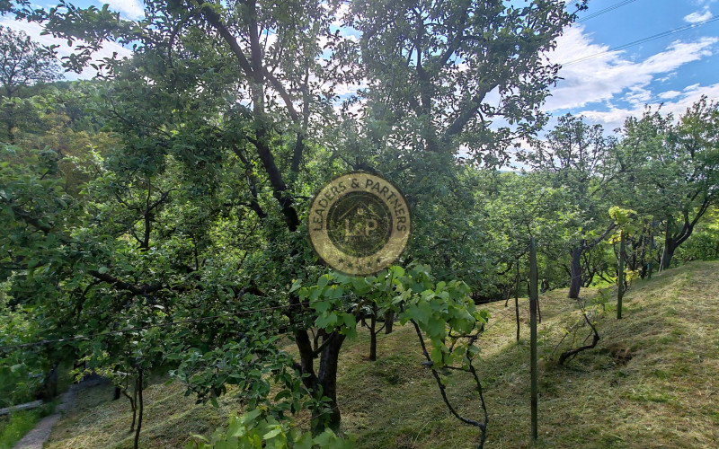 Miesto pre dokonalý oddych v prírode – záhradná chatka s pozemkom 483 m² v Nemšovej