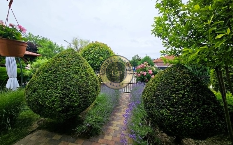 PREDAJ rodinný dom Rajka