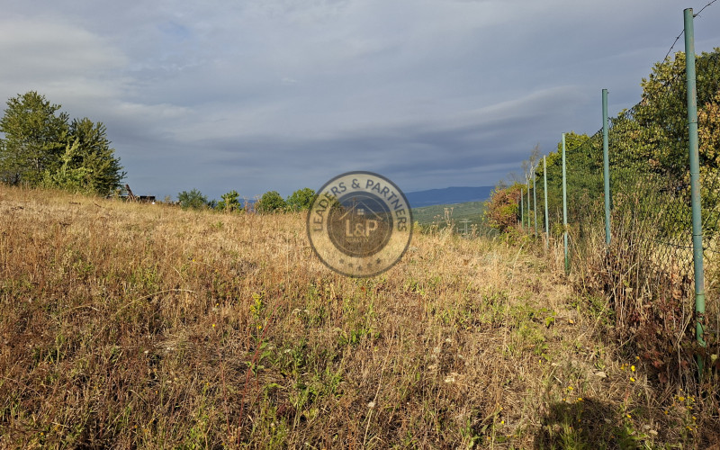 Investičný pozemok 2 699 m², Kavečany-Vitalina