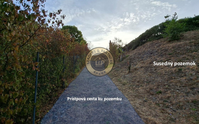 Investičný pozemok 2 699 m², Kavečany-Vitalina